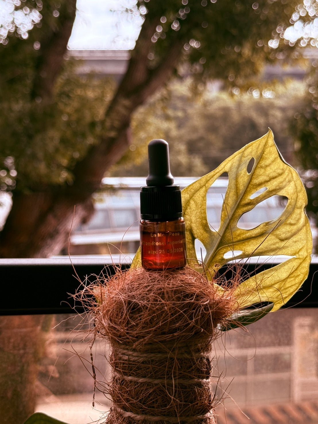 藏紅玫瑰御顏油 4ml(滿額贈) - LEMOI - PEAU