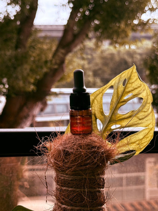 藏紅玫瑰御顏油 4ml(滿額贈) - LEMOI - PEAU